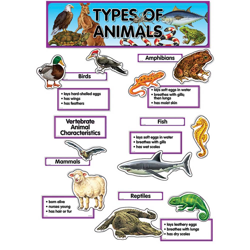 Types Of Animals Mini Bulletin Board Set - CTP1763 | Creative Teaching