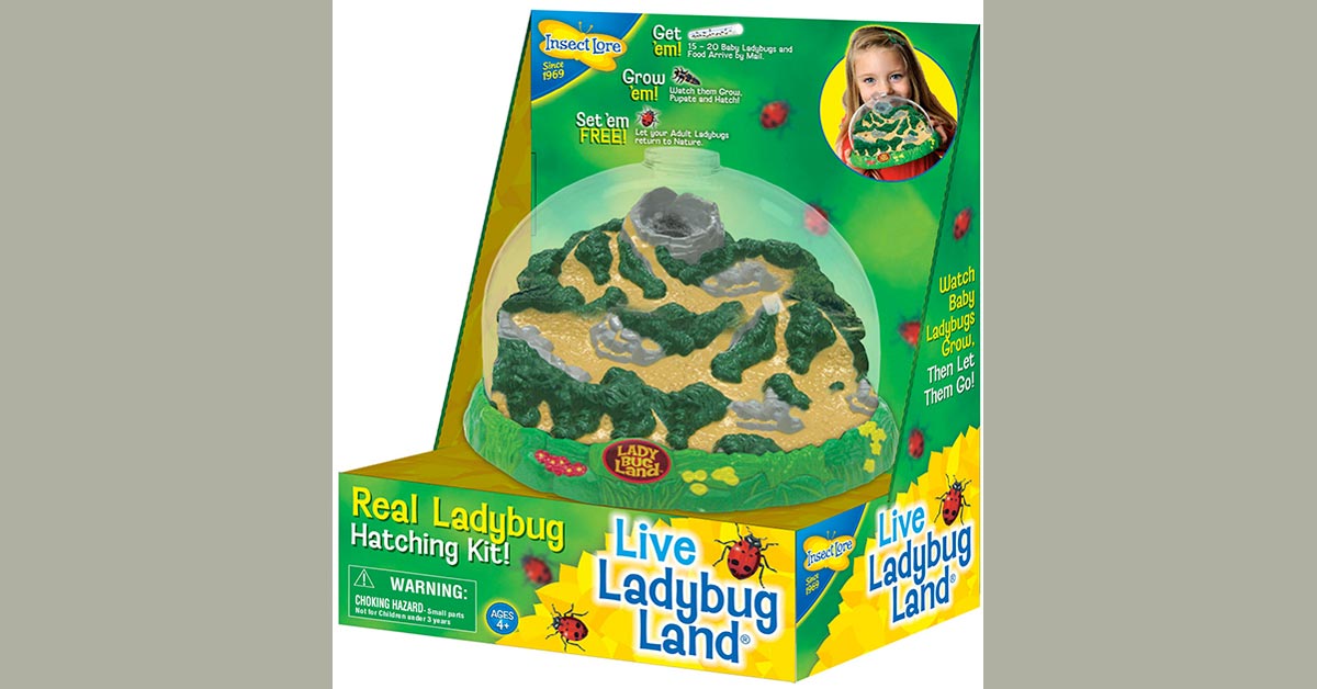Ladybug Land Growing Kit Ilp2100, Ladybug Farm Kit