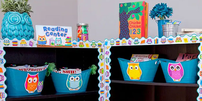 Colorful Owls Classroom Decor Theme