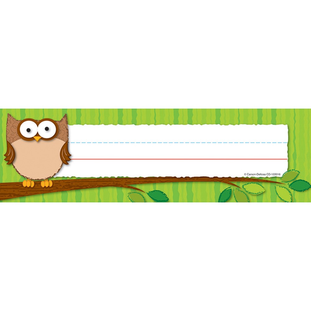 kudosprs com 36 pc new desks and locker labels carson dellosa colorful owl nameplates labels with writing line for student name tags cubbies homeschool or classroom supplies organizer education crafts office supplies