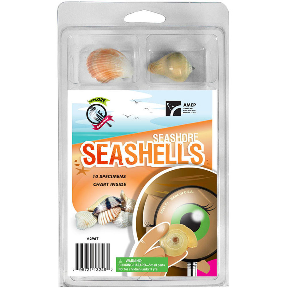 AEP2967 - Explore With Me Seashore Seashells in Earth Science