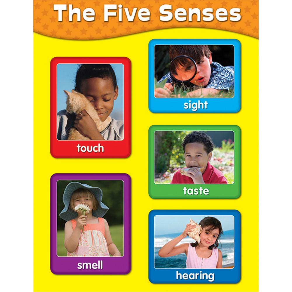 CD-114057 - Chartlets The Five Senses in Science