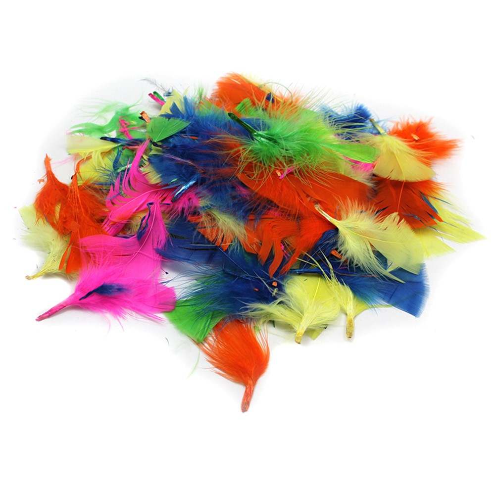 CHL63030 - Turkey Feathers Hot Colors 14G Bag in Feathers