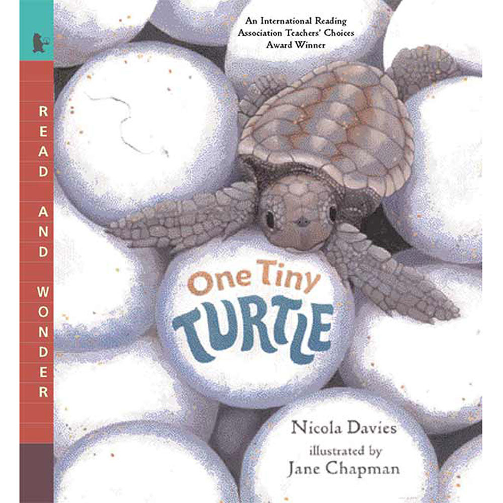 CP-9780763623111 - One Tiny Turtle in Classroom Favorites