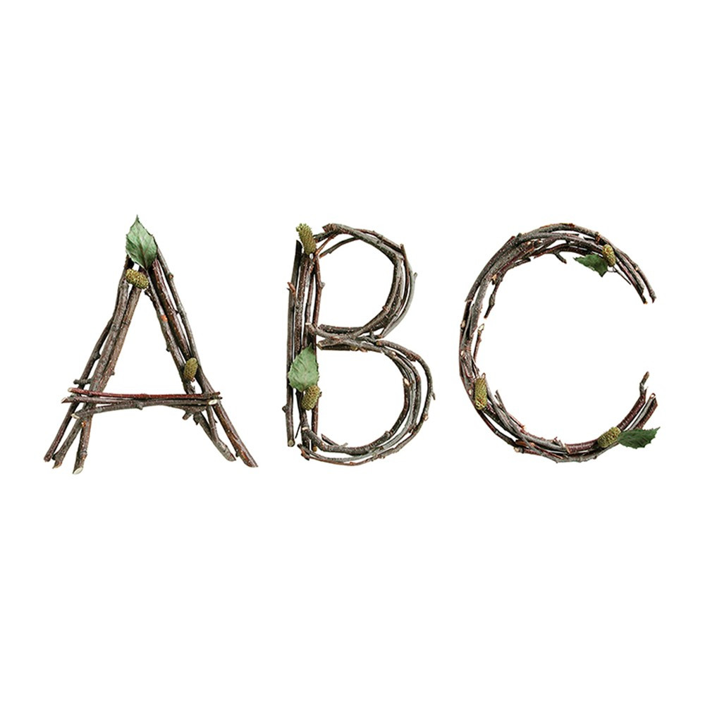 CTP8163 - Rustic Twigs 6In Designer Letters in Letters
