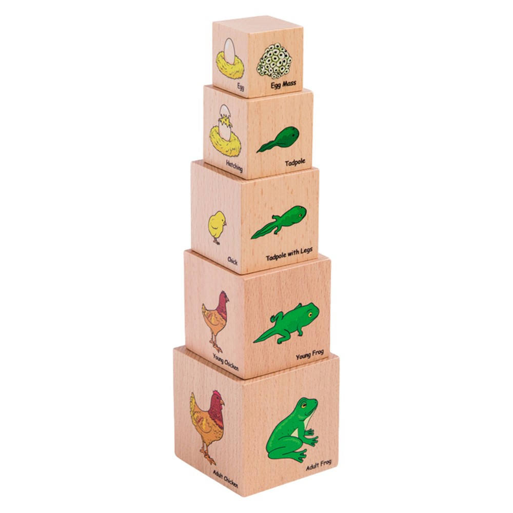 Lifecycle Wooden Blocks - Set of 5 - CTUFF466 | Learning Advantage | Animals