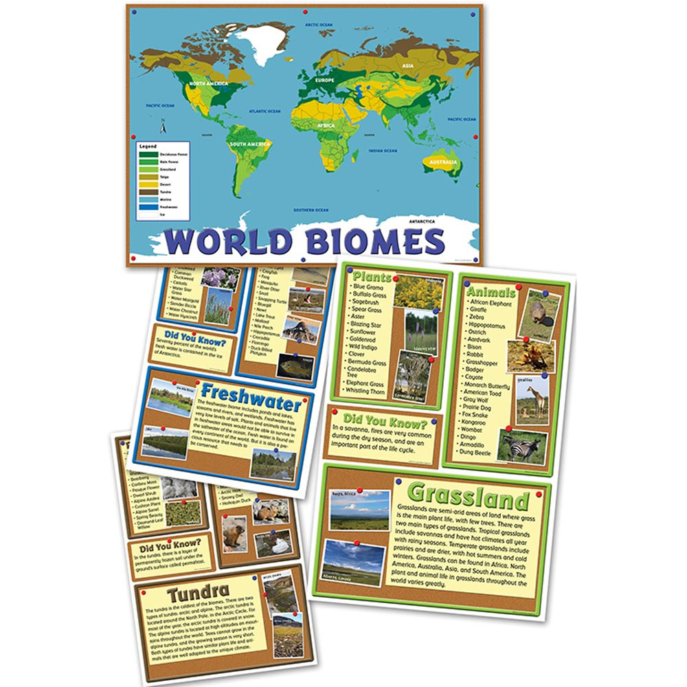 EP-2275 - World Biomes Bulletin Board Set in Social Studies