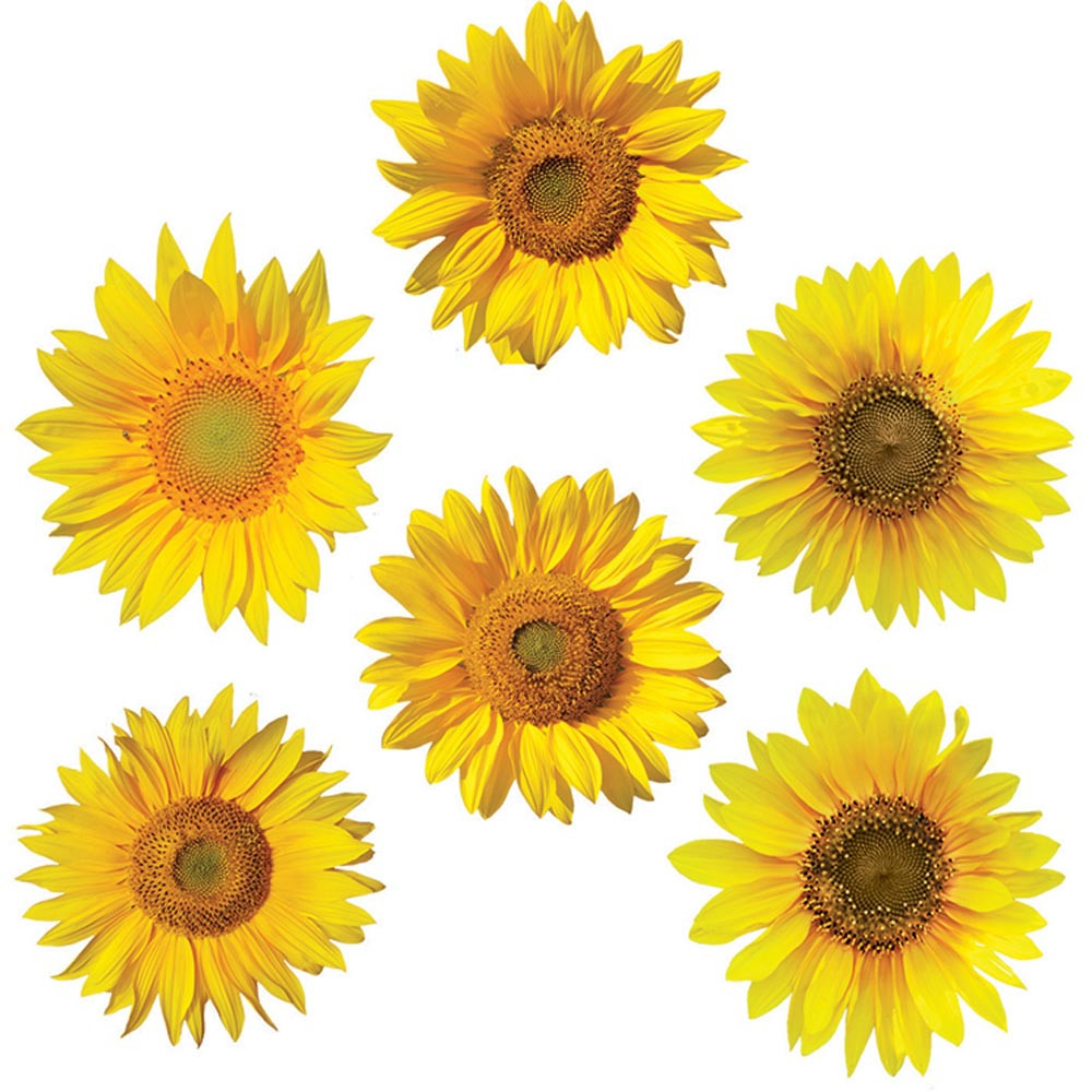 EP-3182 - Sunflowers Accents in Accents