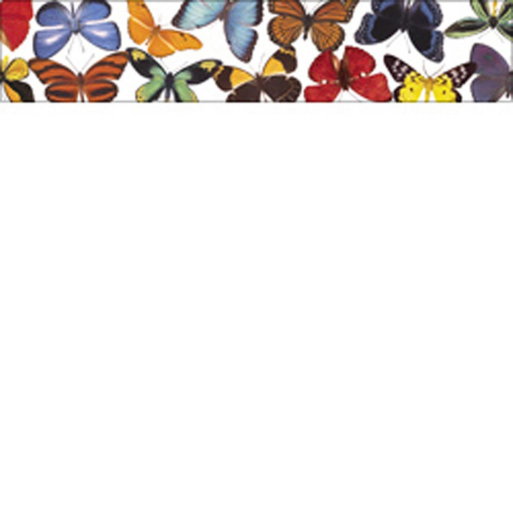 EP-583 - Butterflies & Moths Photo Border in Border/trimmer