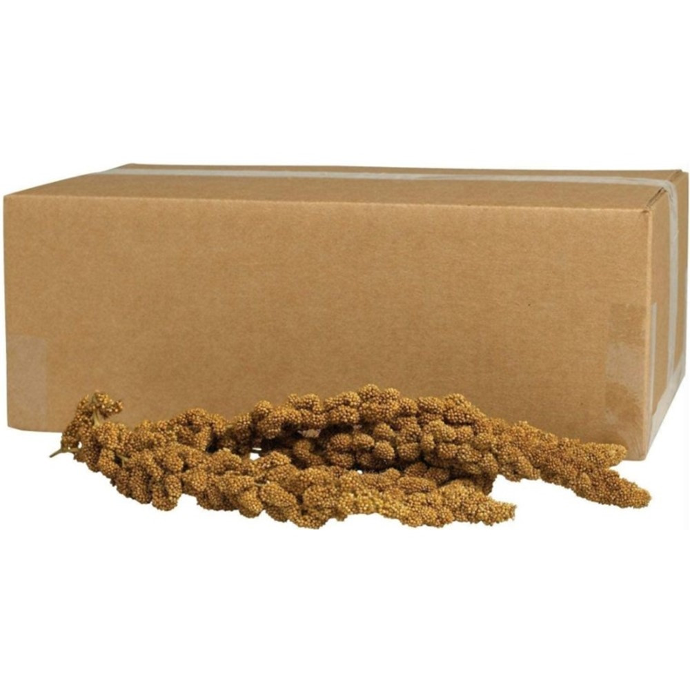 Kaytee Natural Gold Spray Millet for Birds - 5 lbs - EPP-KT00312 | Kaytee | 1916