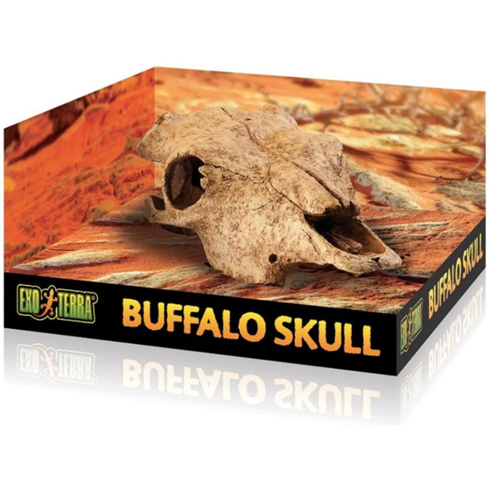 Exo Terra Terrarium Buffalo Skull Decoration - 1 count - EPP-XPT2857 | Exo Terra | 2131