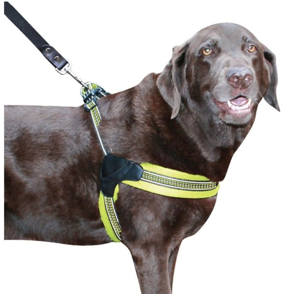 Sporn Easy Fit Dog Harness Yellow  - Large 1 count - EPP-YU20062 | Sporn | 1735