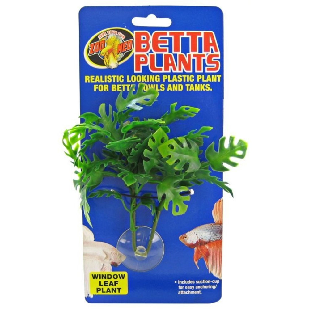 Zoo Med Aquatic Betta Plants - Window Leaf Plant - Window Leaf Betta Plant - EPP-ZM24125 | Zoo Med | 2067