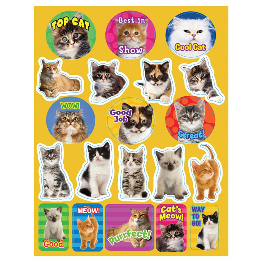 EU-655202 - Motivational Cats Theme Stickers in Stickers
