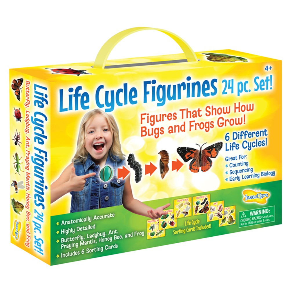Life Cycle Figurines 24pc. Set - ILP2205 | Insect Lore | Animal Studies