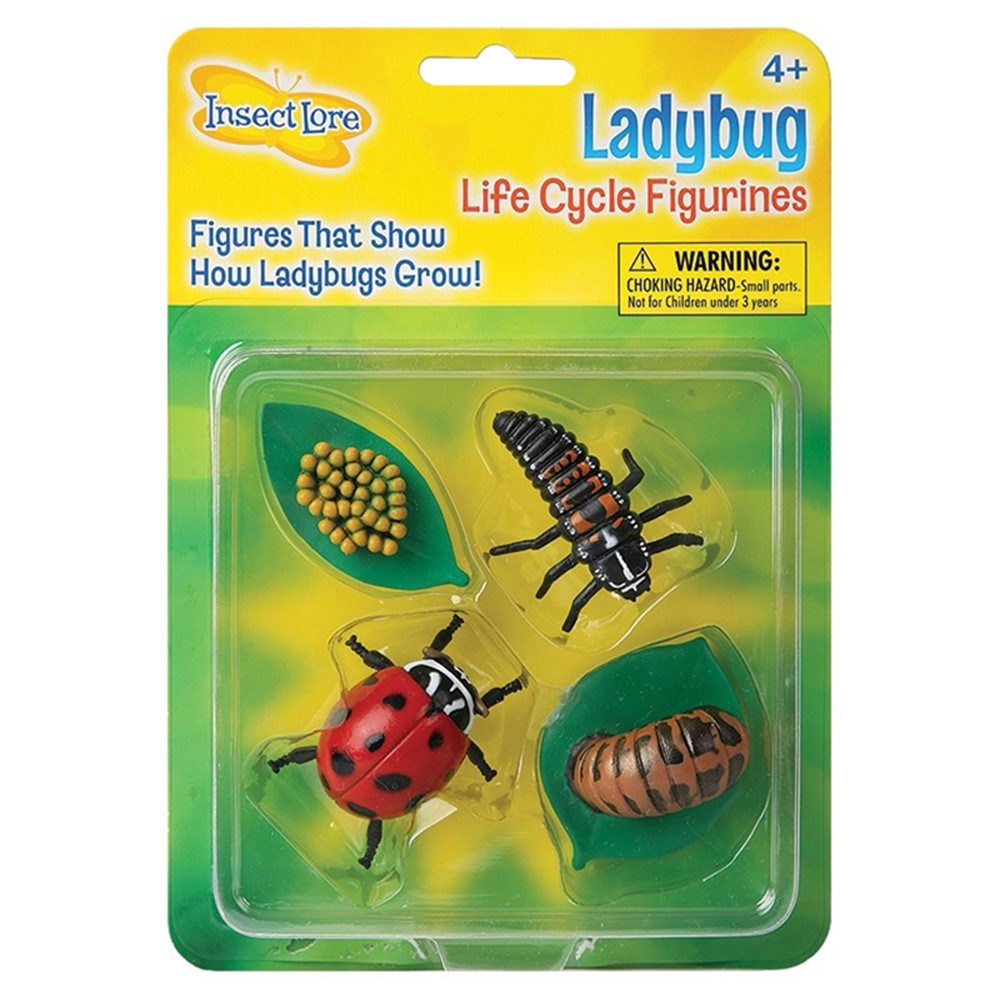 ILP6090 - Ladybug Life Cycle Stages in Animal Studies