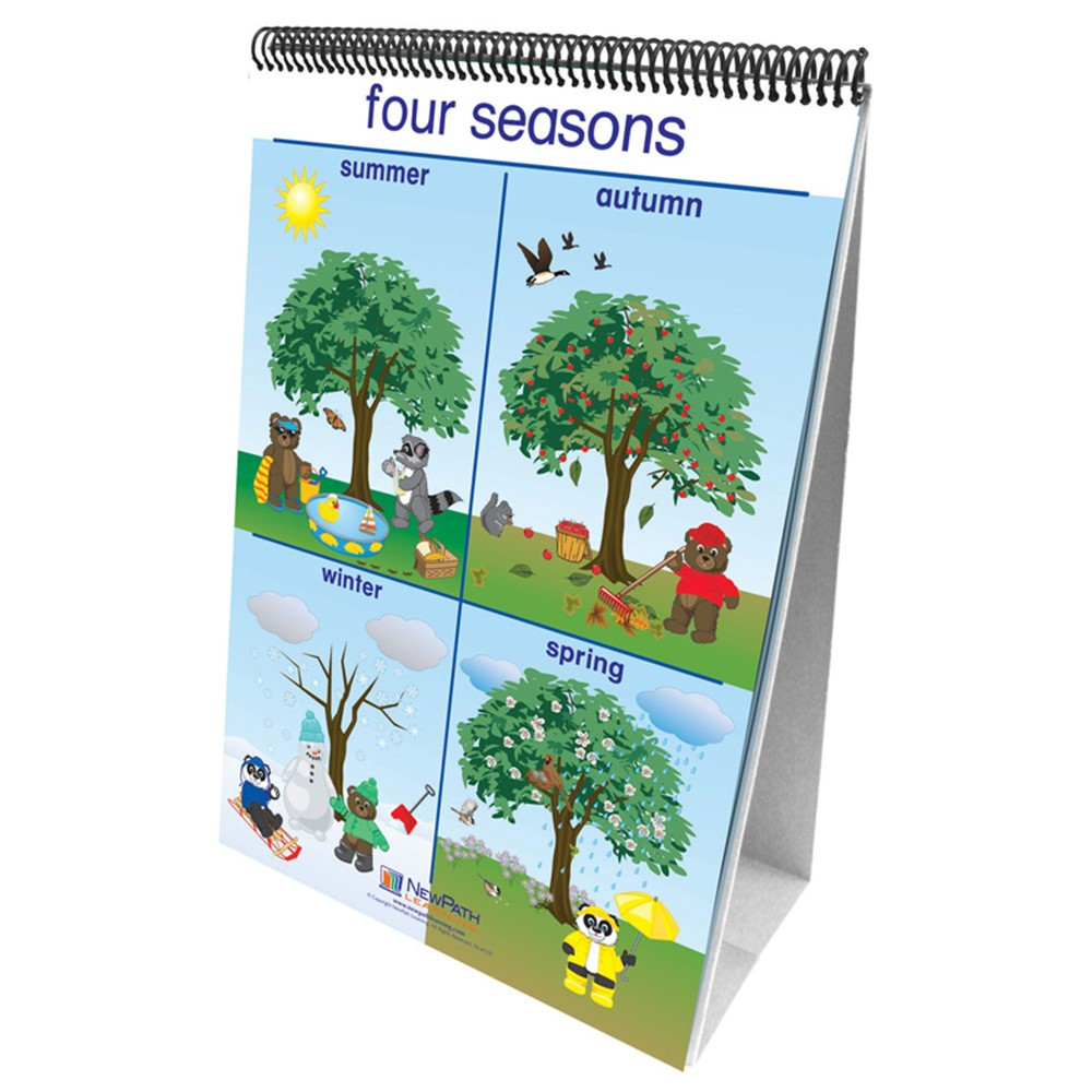 NP-340024 - Flip Charts Weather & Sky Early Childhood Science Readiness in Weather