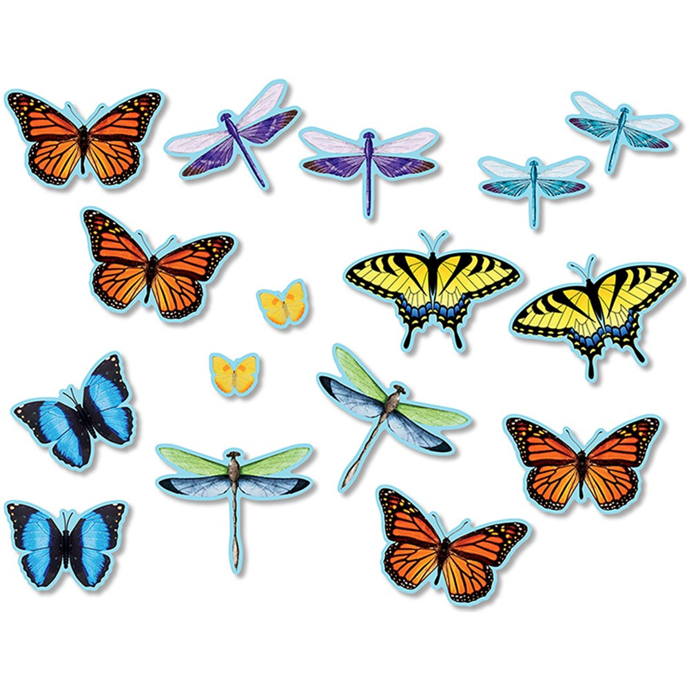 NST3213 - Butterflies Dragonflies Accents Bulletin Board Set in Accents