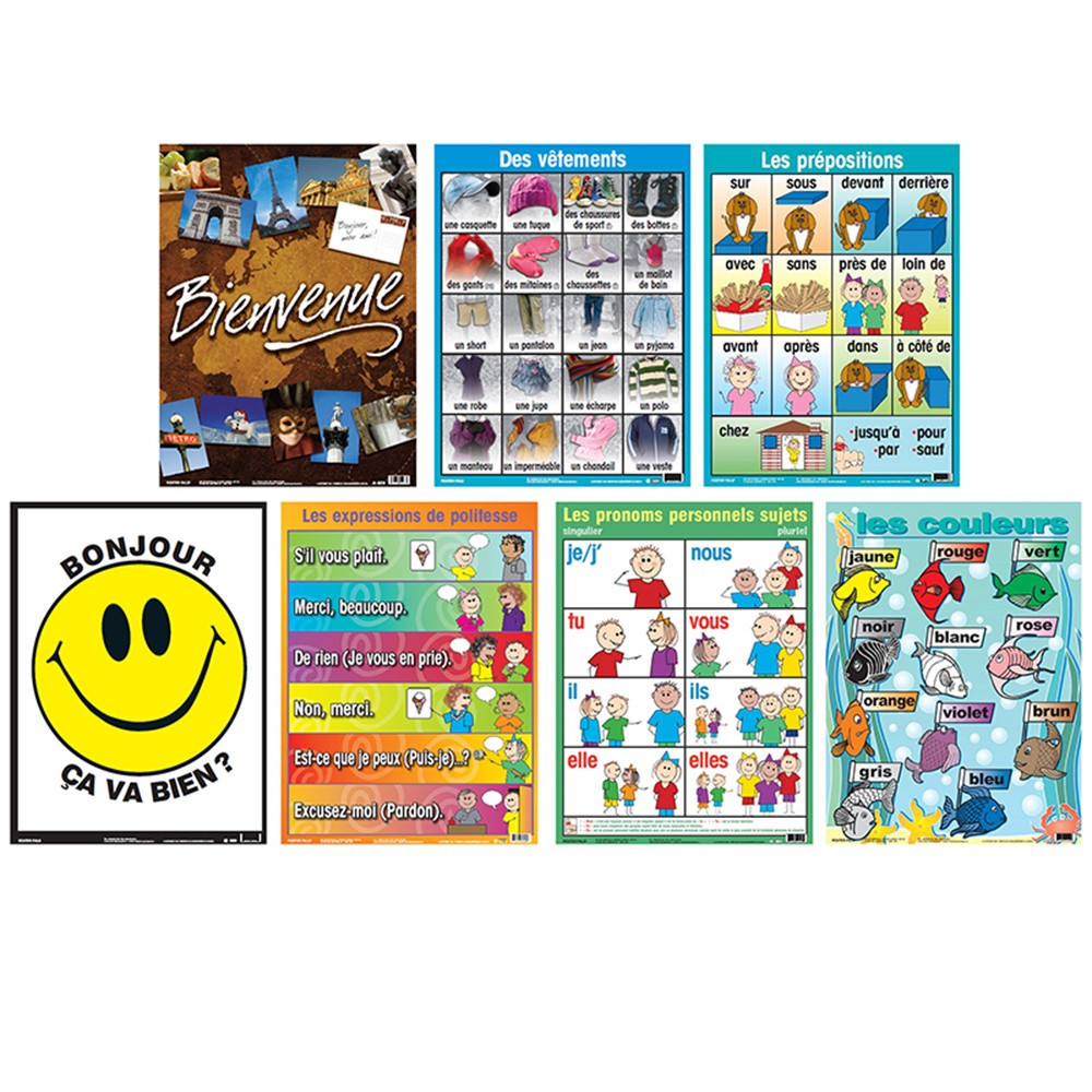 PSZPS57 - Essential Clss Posters Set 2 French in Multilingual