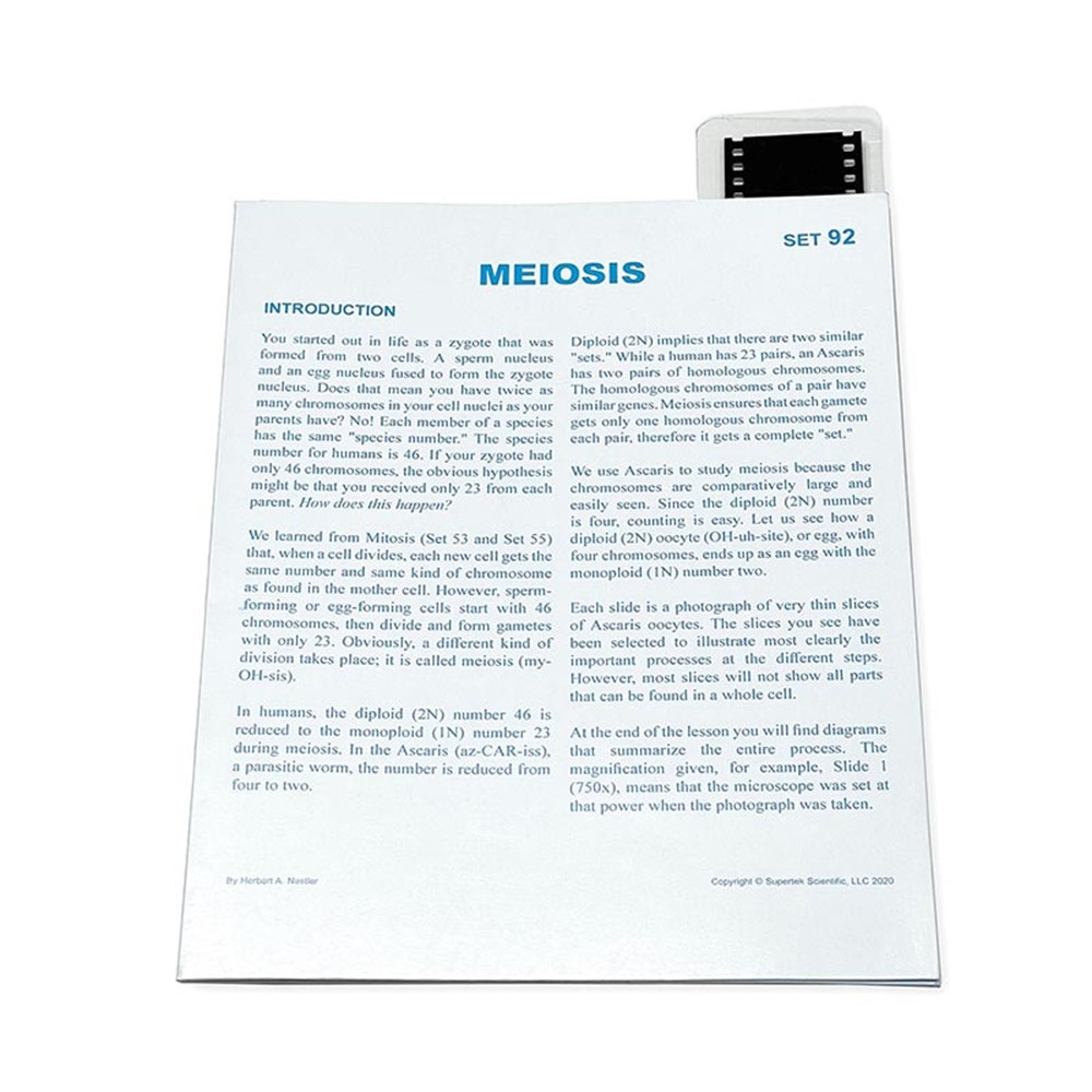 Microslide, Plant Meiosis, 35mm - SKFT92 | Supertek Scientific | Microscopes