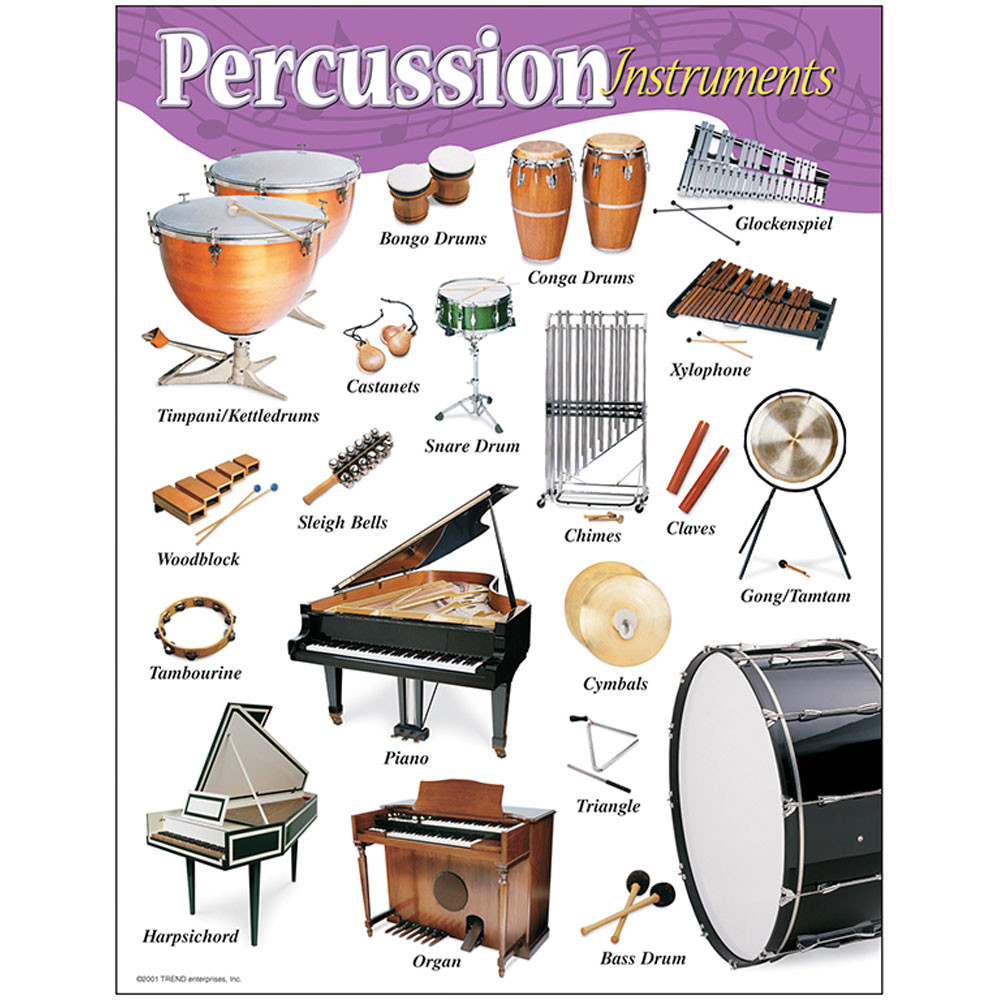 T-38102 - Chart Percussion Instruments Gr K-8 17 X 22 in Miscellaneous