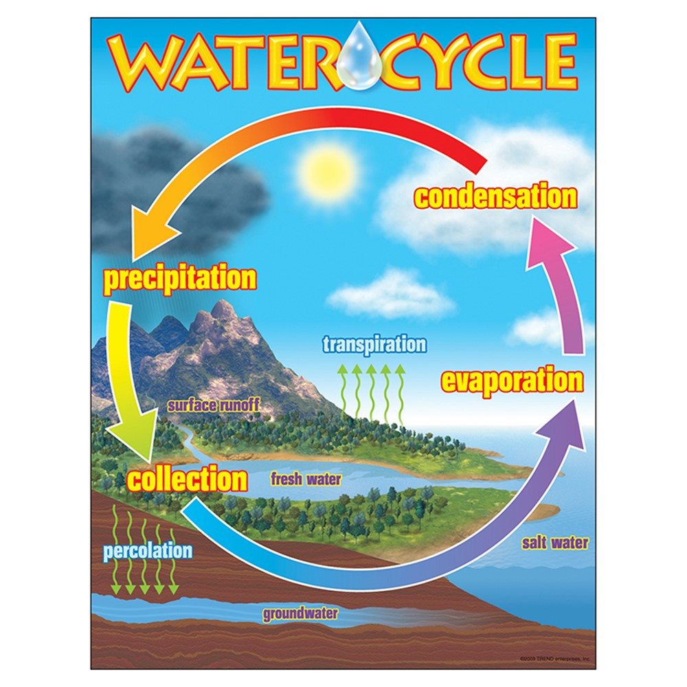T-38119 - Chart The Water Cycle in Science