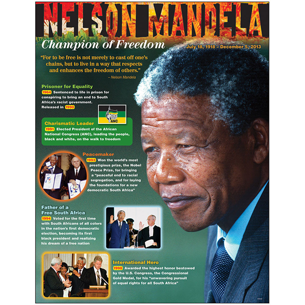 T-38342 - Nelson Mandela Learning Chart in Social Studies