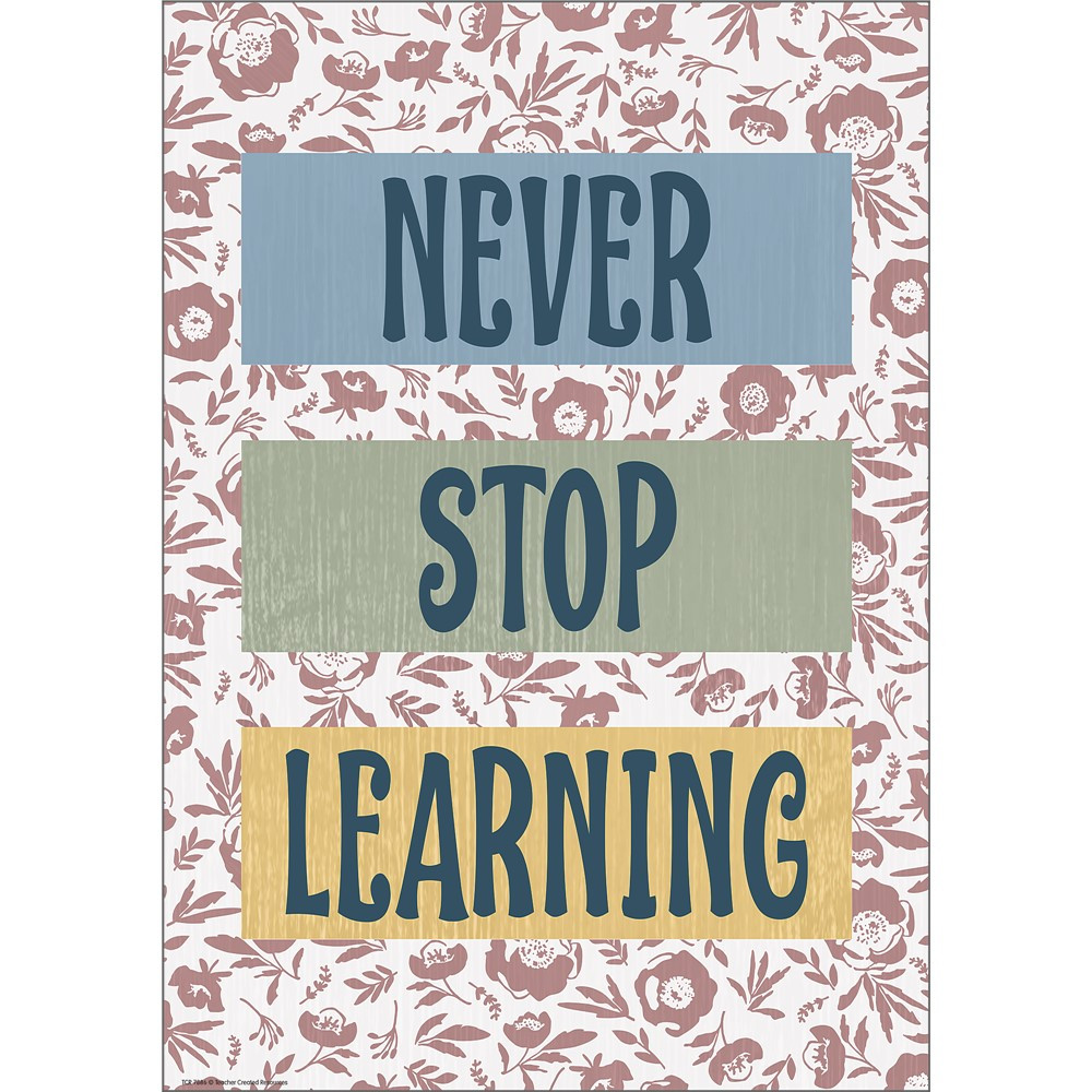 Never Stop Learning Positive Poster - TCR7886 | Teacher Created Resources | Deco: Charts, Posters