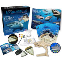 Extreme Science Kit, Sharks of the World - CTUWES942 | Learning Advantage | Oceanography