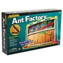 EI-5145 - Ant Factory Gr Pk & Up in Animal Studies
