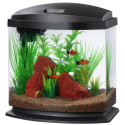 Aqueon LED MiniBow 2.5 SmartClean Aquarium Kit Black - 2.5 gallon - EPP-AU00199 | Aqueon | 2053