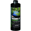 Microbe-Lift Algaway 5.4 for Ponds - 16 oz (Treats 5678 Gallons) - EPP-EL20399 | Microbe-Lift | 2085