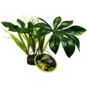 Komodo Jungle Canopy Terrarium Plant - 1 count - EPP-KO93205 | Komodo | 2117