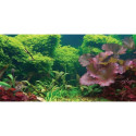 Aquatic Creations Tropical Cling Aquarium Background - 24 Long x 12" Wide - EPP-YU00400 | Aquatic Creations | 2014"