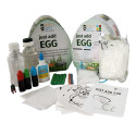 Just Add Egg - Organic Science & Art Kit - GRG4000600 | Griddly Games | Experiments