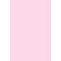 PAC59042 - Spectra Tissue Quire Baby Pink in Tissue Paper
