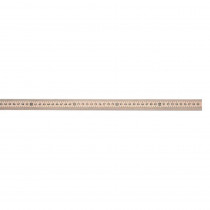 ACM10431 - Meterstick in Rulers