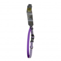 Lazer Brite Reflective Open-Design Adjustable Dog Collar - Purple Daisy - 8-12" Long x 3/8" Wide - EPP-46331PDY | Coastal Pet | 1730"