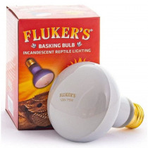 Flukers Incandescent Basking Bulb - 75 Watt - EPP-FK22602 | Flukers | 2135