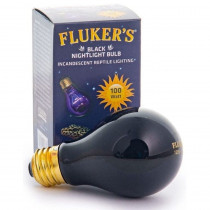 Flukers Black Nightlight Incandescent Bulb - 100 Watt - EPP-FK22703 | Flukers | 2135