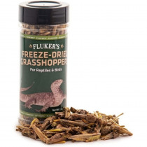 Flukers Freeze-Dried Grasshoppers - 1 oz - EPP-FK72018 | Flukers | 2124