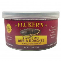 Flukers Gourmet Style Dubia Roaches - 1.2 oz - EPP-FK78005 | Flukers | 2123