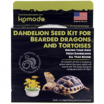Komodo Dandelion Seed Kit for Bearded Dragons and Tortoises - 1 count - EPP-KO93180 | Komodo | 2124