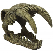 Komodo Saber Tooth Skull Terrarium Decoration - Large - 1 count - EPP-KO93219 | Komodo | 2117