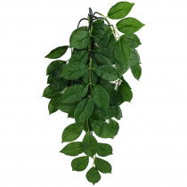 Komodo Grean Leaf Hanging Vine Terrarium Plant - Small - 1 count - EPP-KO93303 | Komodo | 2117