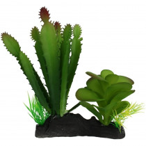 Komodo Succulent and Cactus Habitat Ornament - 1 count - EPP-KO93311 | Komodo | 2117