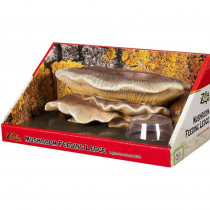 Zilla Mushroom Feeding Ledge Reptile Decor - 1 Count - EPP-RP00062 | Zilla | 2117