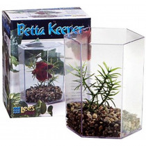 Lees Betta Keeper Hex Aquarium Kit - 24 oz (4.8L x 3.8"W x 5.4"H) - EPP-S19538 | Lee's | 2017"