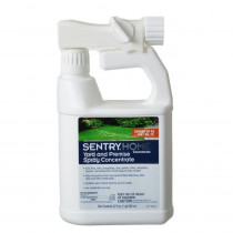 Sentry Home Yard & Premise Insect Spray Concentrate - 32 oz - EPP-SG02117 | Sentry | 1964