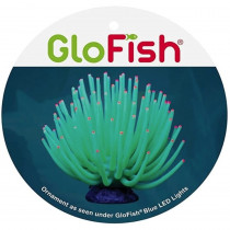 Tetra GloFish Anemone Aquarium Ornament Green - 1 count - EPP-WL78444 | Tetra | 2067